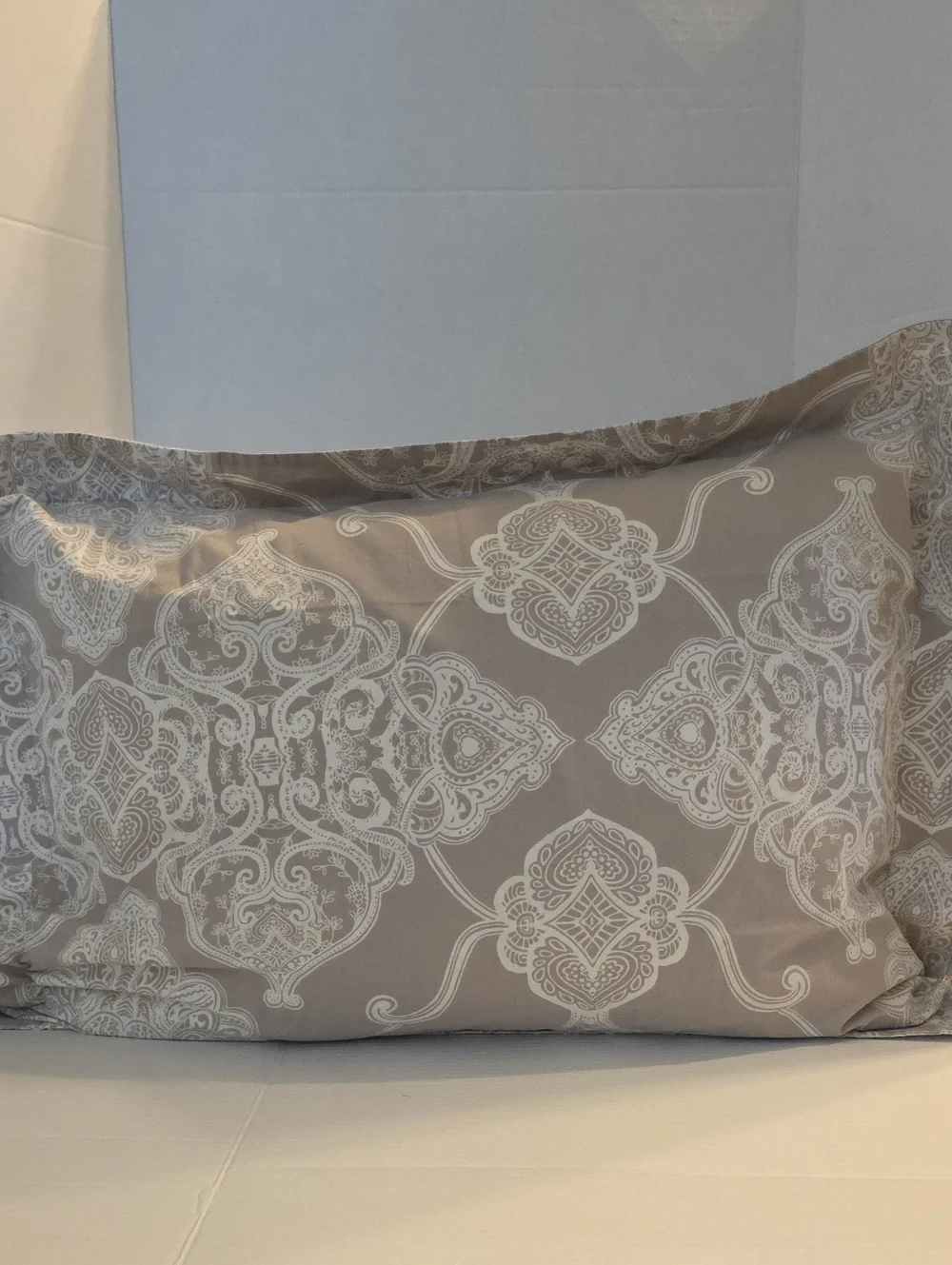 Pottery Barn Alana Medallion Taupe Ivory Ombre Cotton Standard Pillow Sham Set